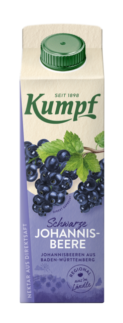 SCHWARZE JOHANNISBEERE 1L SAFTKARTON