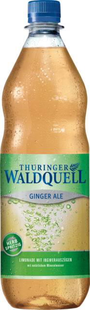 THÜR.WALDQ. GINGER ALE 1,0 PET
